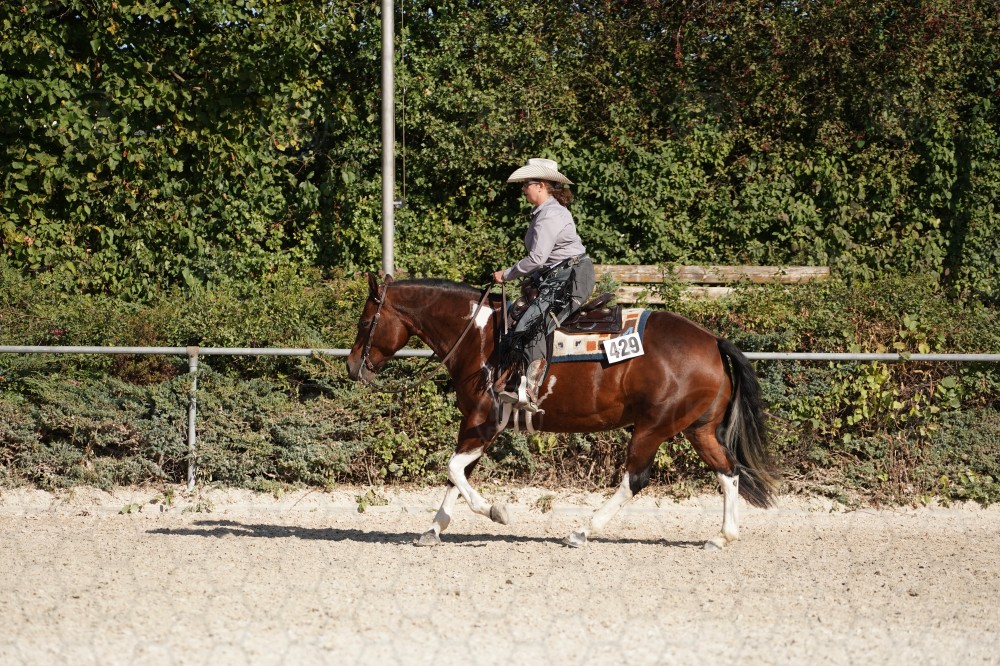 s_A_908301.JPG